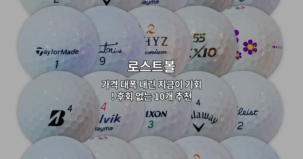 가격이 내려간 로스트볼 제품들을 비교 소개하는 썸네일 이미지