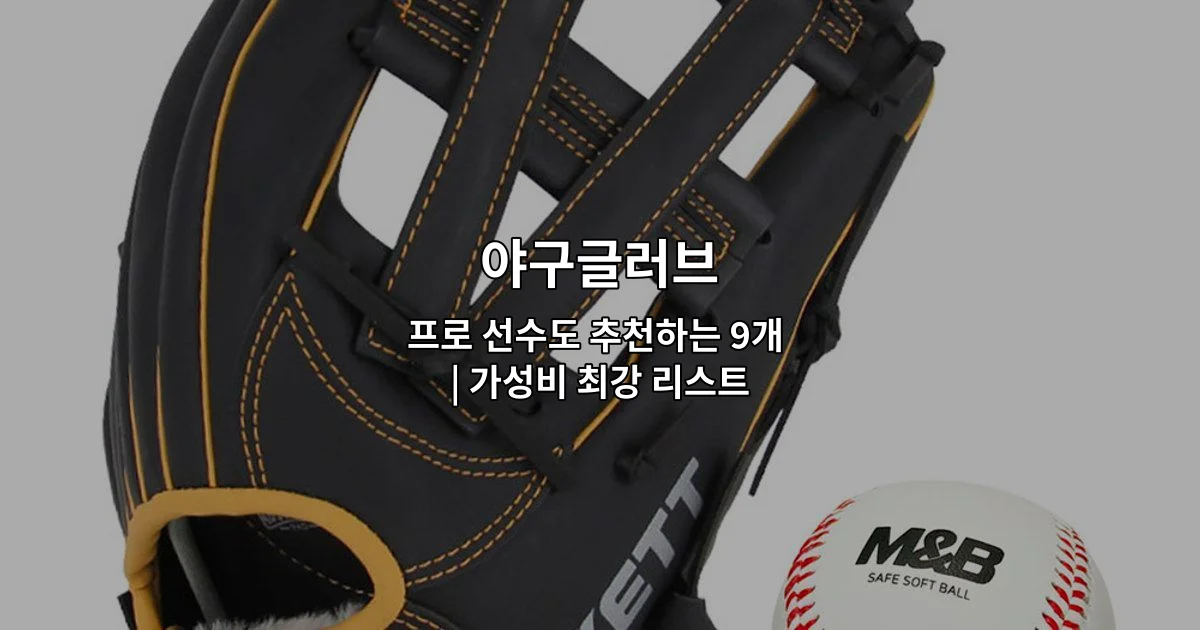 프로 선수들이 추천하는 가성비 최강 야구글러브 9개 제품을 소개하는 썸네일 이미지